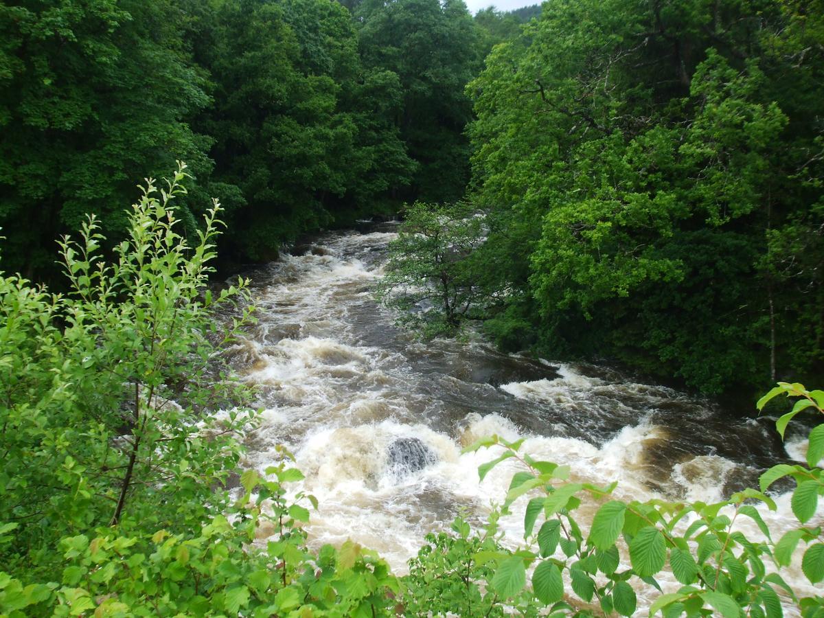 Oakfield Guest House Betws-y-Coed Ngoại thất bức ảnh